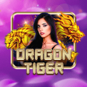 Dragon Tiger RTP analysis